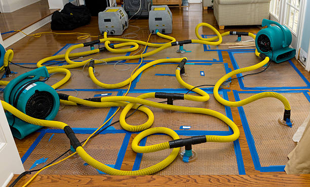 Professional Basement Flood Cleanup technician working in Apple Creek, OH